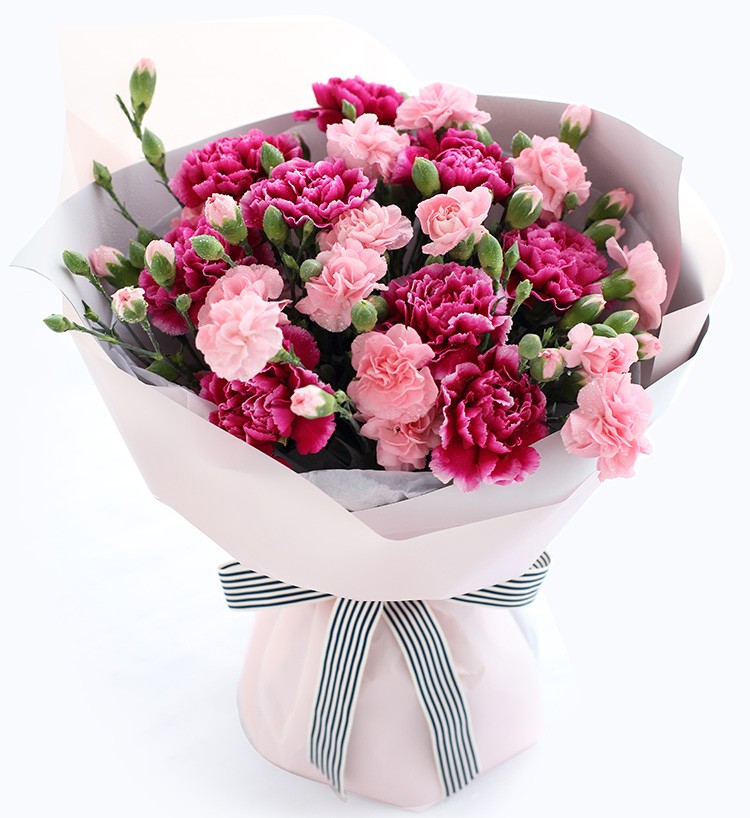 Maternal Love-9 stems fuchsia carnation, 10 stems pink multi-head carnation