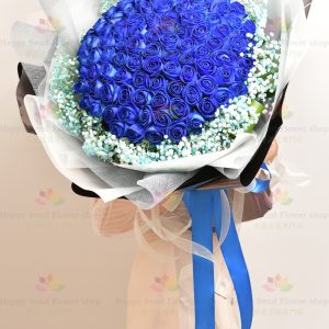 [Extremely rare] Dutch air transport blue 99 roses