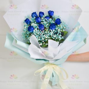 [Extremely Rare] Dutch Air Transport Blue 10 Roses