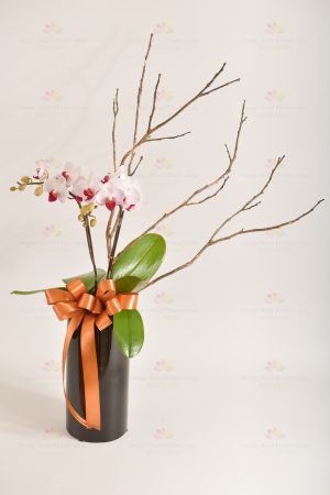 2 mini orchids, moss wood or linear branches