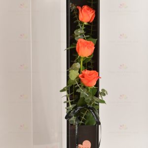 3 stems imported rose gift box (3 stems orange roses, eucalyptus)