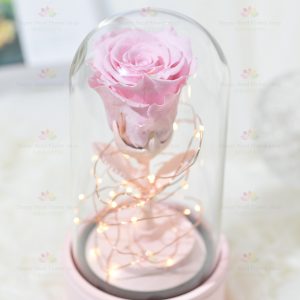 Eternal Flower Single Rose Bluetooth Speaker (Pink)
