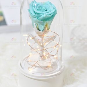 Preserved flower single rose bluetooth speaker (sea blue)