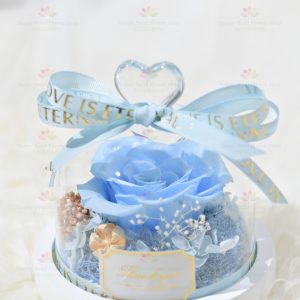 Wholeheartedly Preserved Flower Rose Decoration (Sky Blue Without Light) (2021 Valentine's Day Bouquet Series)