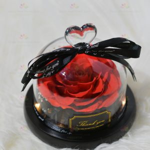 One Heart and One Heart Preserved Flower Rose Decoration (Red with Light) (2021 Valentine's Day Bouquet Series)