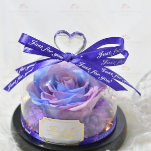 Wholeheartedly Preserved Flower Rose Decoration (purple blue with light) (2021 Valentine's Day Bouquet Series)