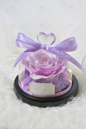 Wholeheartedly Preserved Flower Rose Decoration (Light Purple with Light) (2021 Valentine's Day Bouquet Series)
